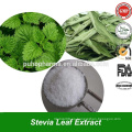 Extracto de Stevia verde de alta calidad Rebaudioside (RA) Extracto de Stevia en Steviosides a granel para la pérdida de peso